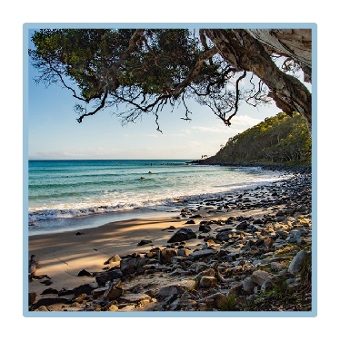 A landscape showing a beach and trees. 