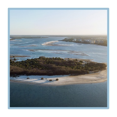A landscape of sand, water and trees. 