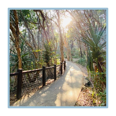 A walking trail in a landscape with trees. 