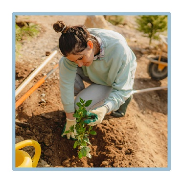 A person planting something. 